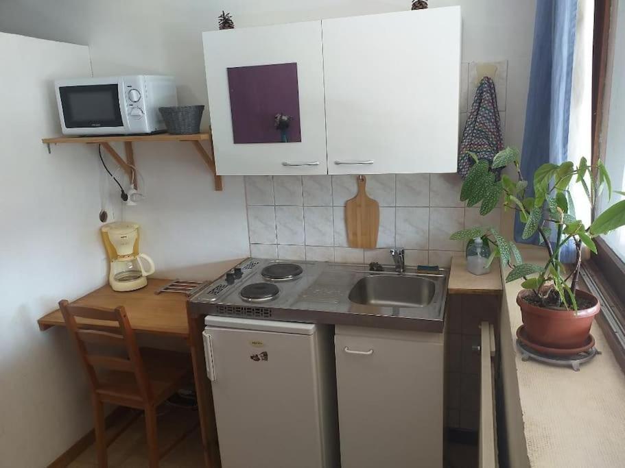 Cap Dauphine Appartement Grenoble Buitenkant foto