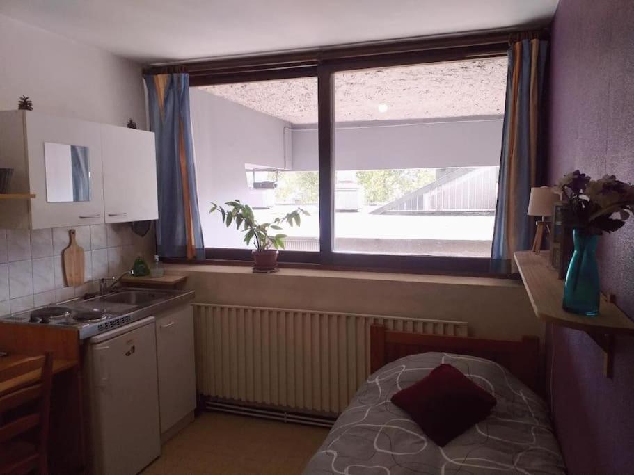 Cap Dauphine Appartement Grenoble Buitenkant foto