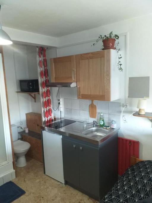Cap Dauphine Appartement Grenoble Buitenkant foto