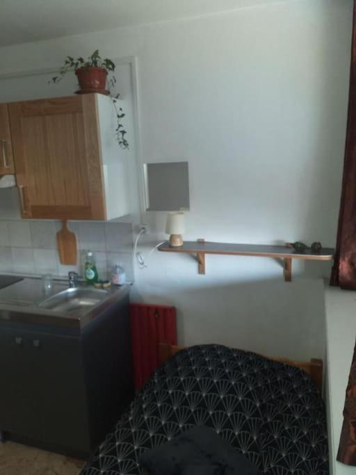 Cap Dauphine Appartement Grenoble Buitenkant foto